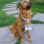 Marmor Genussführung