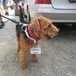 Marmor Genussführung